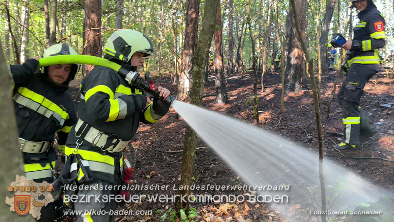 20260503_Waldbrand in Aigen Gemeinde Hernstein Foto: FF Lindabrunn