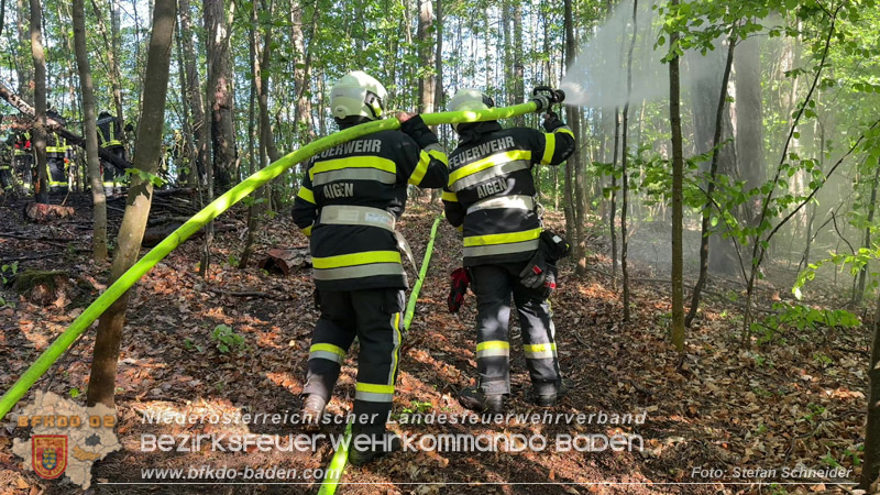 20260503_Waldbrand in Aigen Gemeinde Hernstein Foto: FF Lindabrunn