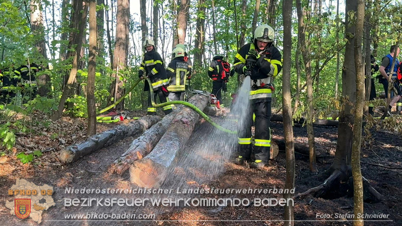 20260503_Waldbrand in Aigen Gemeinde Hernstein Foto: FF Lindabrunn