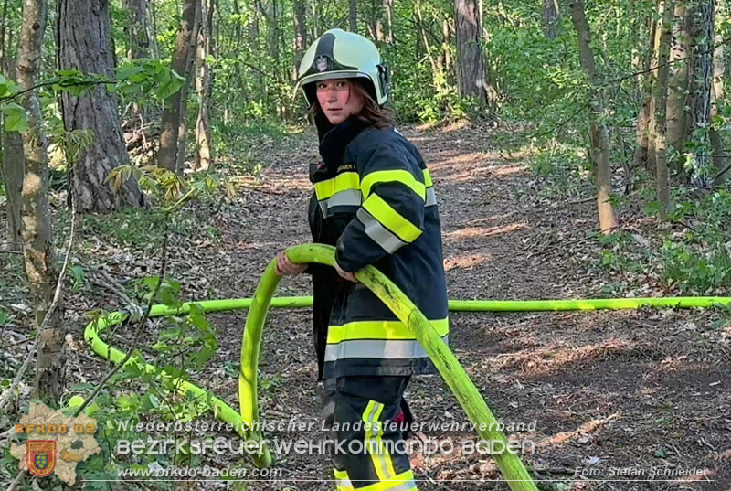 20260503_Waldbrand in Aigen Gemeinde Hernstein Foto: FF Lindabrunn