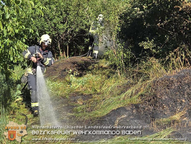 20260529_Flurbrand in Hirtenberg  Foto: FF Hirtenberg