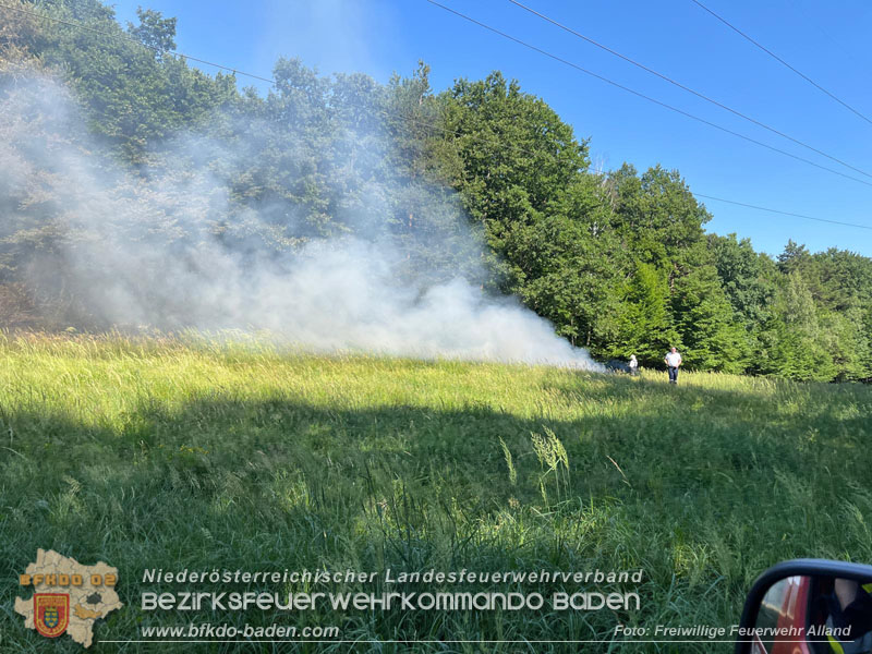 20260627_Entstehender Waldbrand im Gemeindegebiet Alland gerade noch rechtzeitig gel�scht  Foto: FF Alland