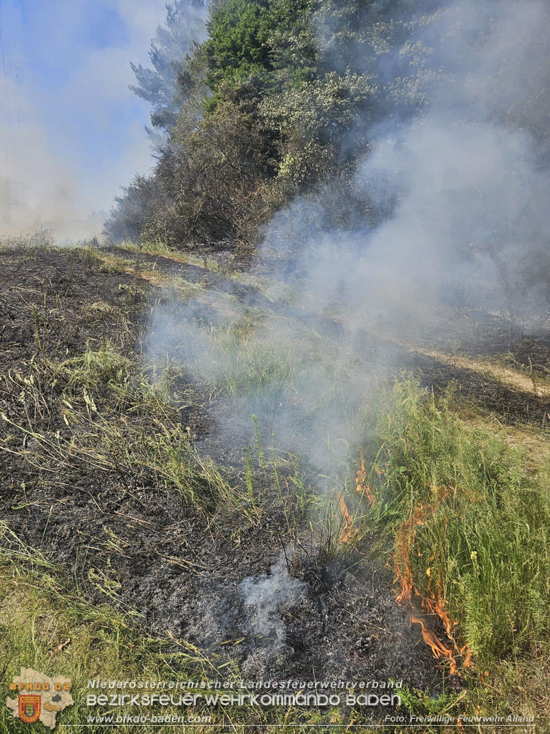 20260627_Entstehender Waldbrand im Gemeindegebiet Alland gerade noch rechtzeitig gel�scht  Foto: FF Alland