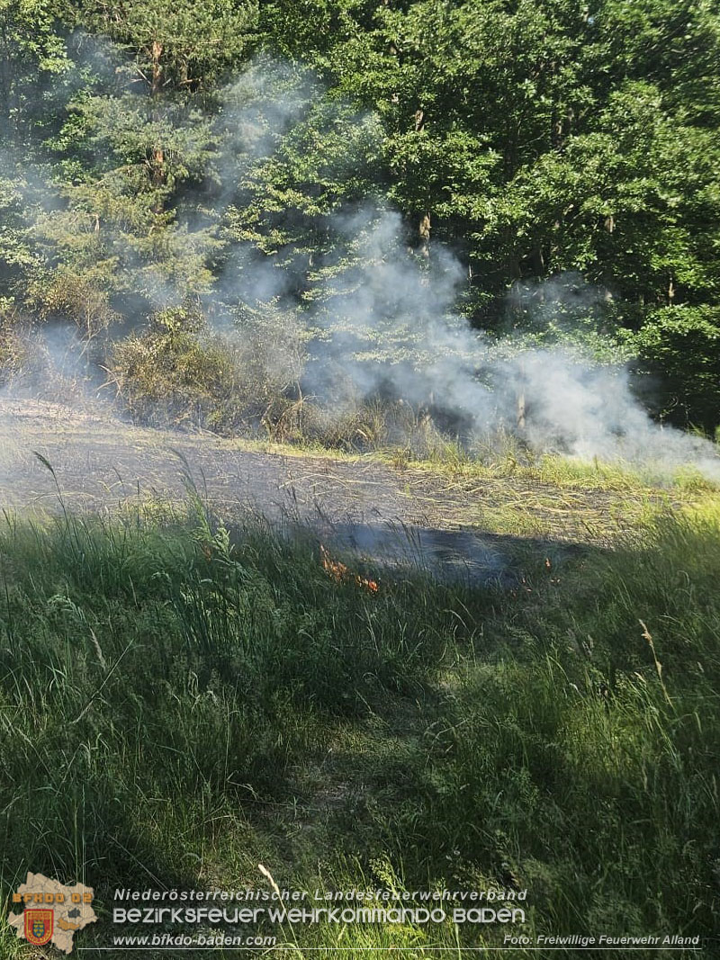 20260627_Entstehender Waldbrand im Gemeindegebiet Alland gerade noch rechtzeitig gel�scht  Foto: FF Alland