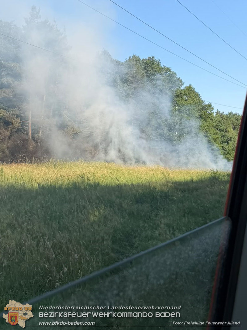 20260627_Entstehender Waldbrand im Gemeindegebiet Alland gerade noch rechtzeitig gel�scht  Foto: FF Alland