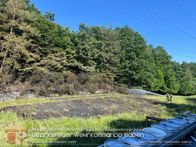 20260627_Entstehender Waldbrand im Gemeindegebiet Alland gerade noch rechtzeitig gel�scht  Foto: FF Alland