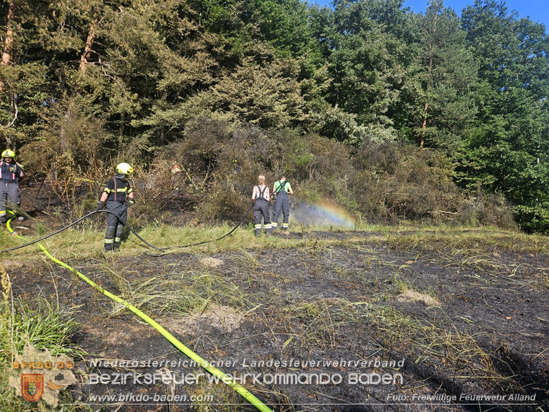 20260627_Entstehender Waldbrand im Gemeindegebiet Alland gerade noch rechtzeitig gel�scht  Foto: FF Alland