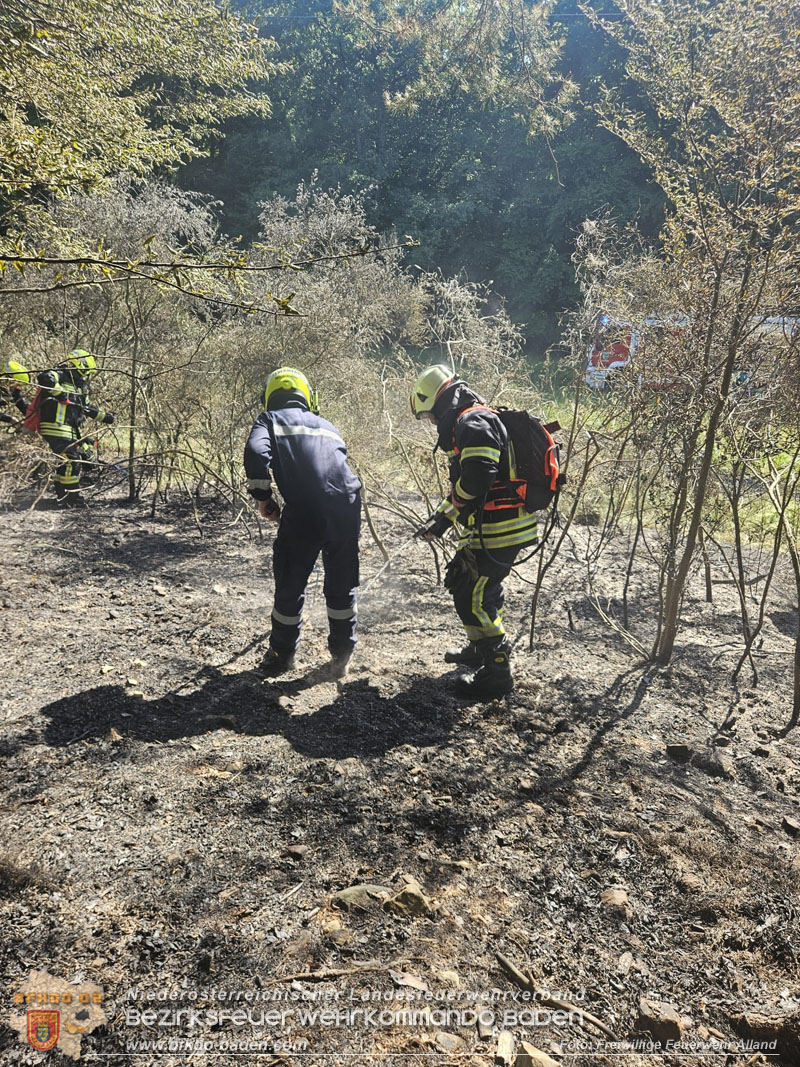 20260627_Entstehender Waldbrand im Gemeindegebiet Alland gerade noch rechtzeitig gel�scht  Foto: FF Alland