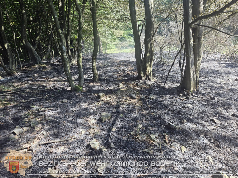 20260627_Entstehender Waldbrand im Gemeindegebiet Alland gerade noch rechtzeitig gel�scht  Foto: FF Alland