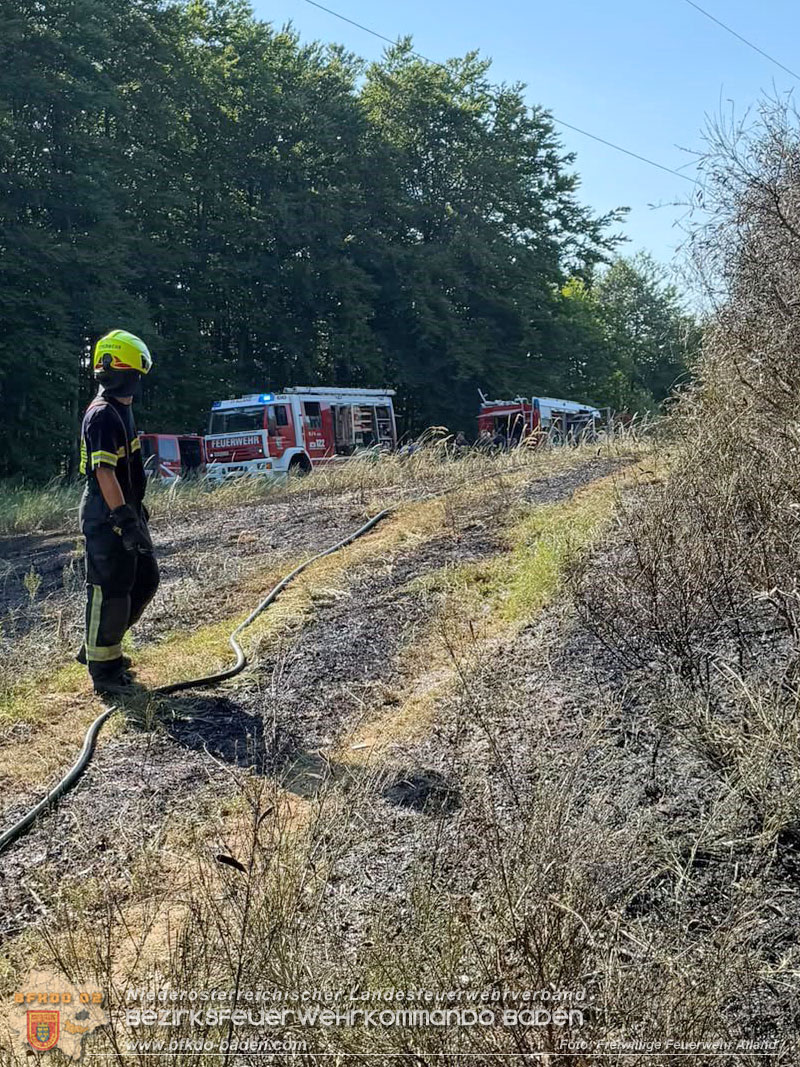 20260627_Entstehender Waldbrand im Gemeindegebiet Alland gerade noch rechtzeitig gel�scht  Foto: FF Alland