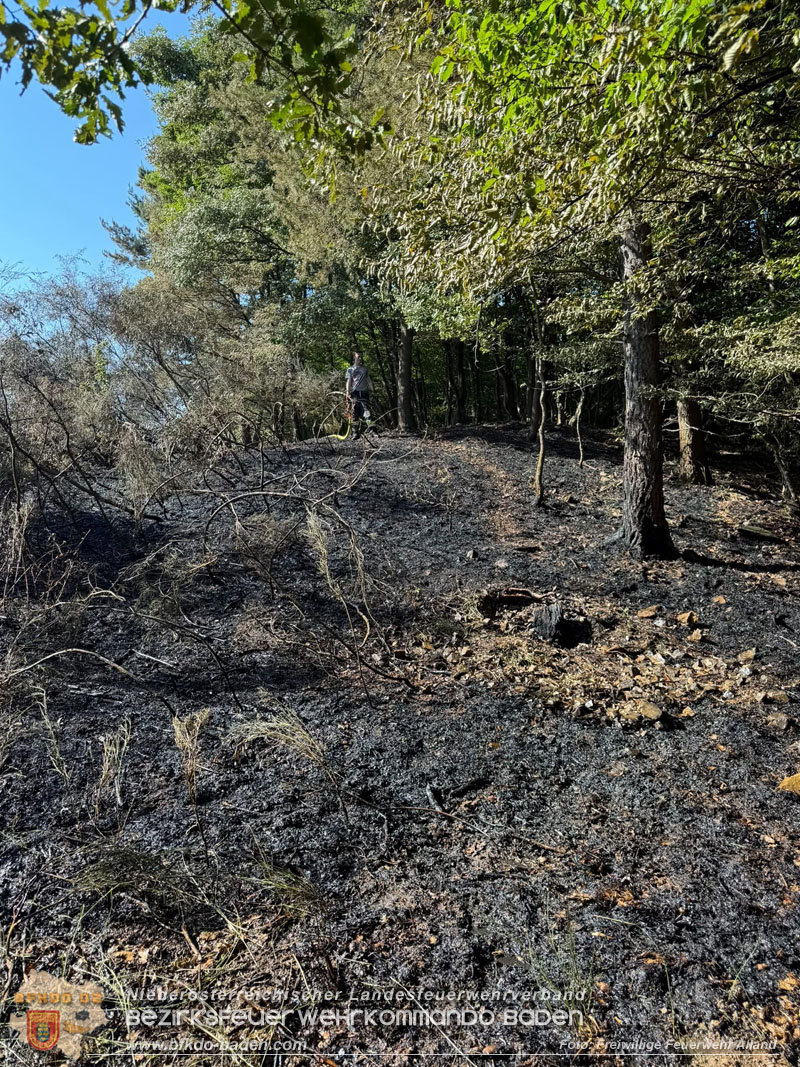 20260627_Entstehender Waldbrand im Gemeindegebiet Alland gerade noch rechtzeitig gel�scht  Foto: FF Alland