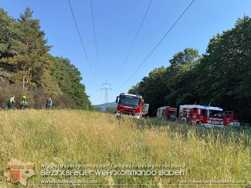 20260627_Entstehender Waldbrand im Gemeindegebiet Alland gerade noch rechtzeitig gel�scht  Foto: FF Alland