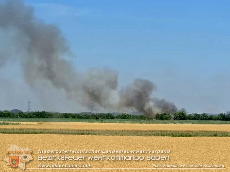 20260628_Fledbrand zwischen Pischelsdorf Bezirk Bruck/Leitha und Reisenber Bezirk Baden  Foto: FF Reisenberg