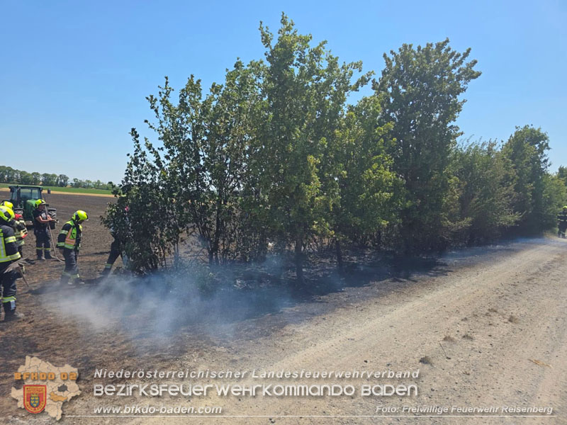20260628_Fledbrand zwischen Pischelsdorf Bezirk Bruck/Leitha und Reisenber Bezirk Baden  Foto: FF Reisenberg