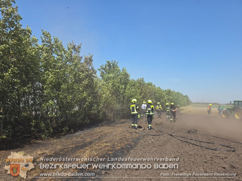 20260628_Fledbrand zwischen Pischelsdorf Bezirk Bruck/Leitha und Reisenber Bezirk Baden  Foto: FF Reisenberg