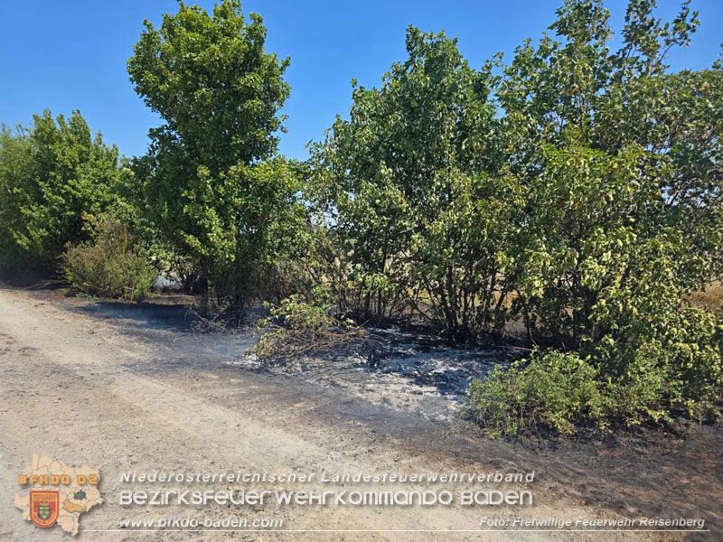 20260628_Fledbrand zwischen Pischelsdorf Bezirk Bruck/Leitha und Reisenber Bezirk Baden  Foto: FF Reisenberg