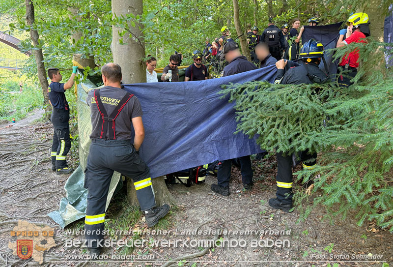 20260628_Kampf um ein Menschenleben bei Gluthitze im Badener Helenental  Foto: Stefan Schneider