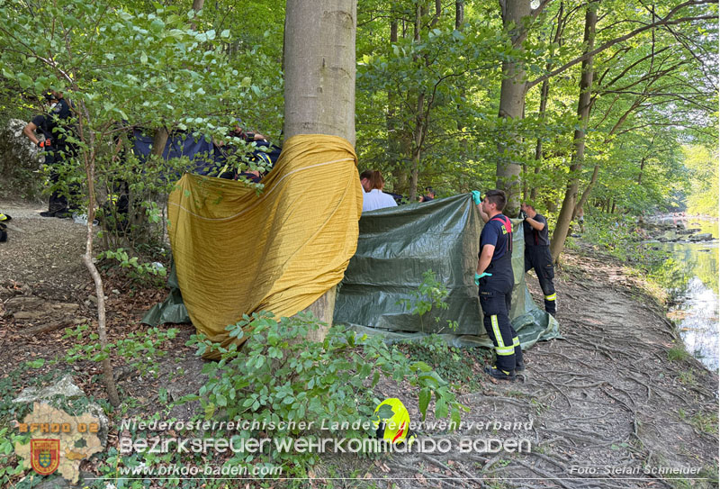 20260628_Kampf um ein Menschenleben bei Gluthitze im Badener Helenental  Foto: Stefan Schneider