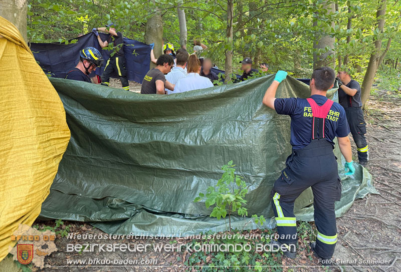 20260628_Kampf um ein Menschenleben bei Gluthitze im Badener Helenental  Foto: Stefan Schneider