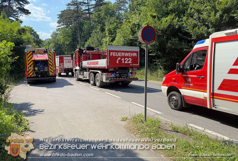 20260628_Kampf um ein Menschenleben bei Gluthitze im Badener Helenental Foto: Stefan Schneider