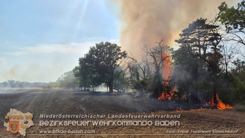 20260630_Flur- und Waldbrand zwischen Ebreichsdorf und Oberwaltersdorf durch f�nf Feuerwehren erfolgreich bek�mpft