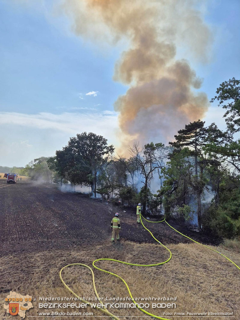 20260630_Flur- und Waldbrand zwischen Ebreichsdorf und Oberwaltersdorf durch f�nf Feuerwehren erfolgreich bek�mpft