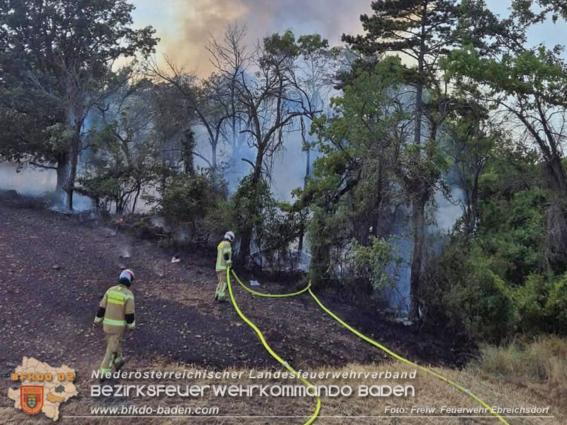 20260630_Flur- und Waldbrand zwischen Ebreichsdorf und Oberwaltersdorf durch f�nf Feuerwehren erfolgreich bek�mpft