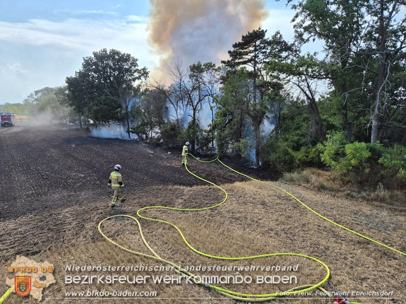 20260630_Flur- und Waldbrand zwischen Ebreichsdorf und Oberwaltersdorf durch f�nf Feuerwehren erfolgreich bek�mpft