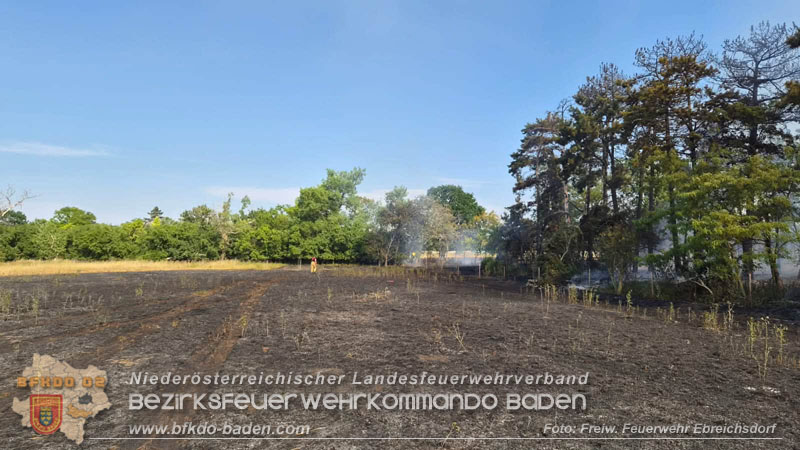 20260630_Flur- und Waldbrand zwischen Ebreichsdorf und Oberwaltersdorf durch f�nf Feuerwehren erfolgreich bek�mpft
