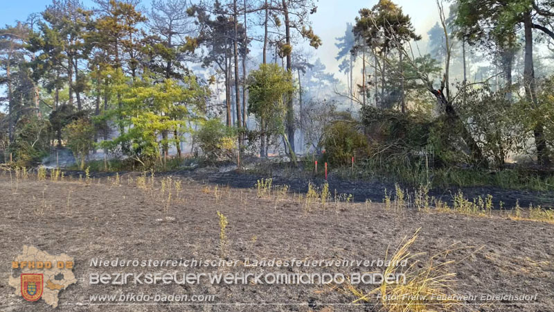 20260630_Flur- und Waldbrand zwischen Ebreichsdorf und Oberwaltersdorf durch f�nf Feuerwehren erfolgreich bek�mpft