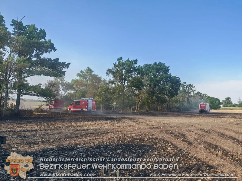 20260630_Flur- und Waldbrand zwischen Ebreichsdorf und Oberwaltersdorf durch f�nf Feuerwehren erfolgreich bek�mpft