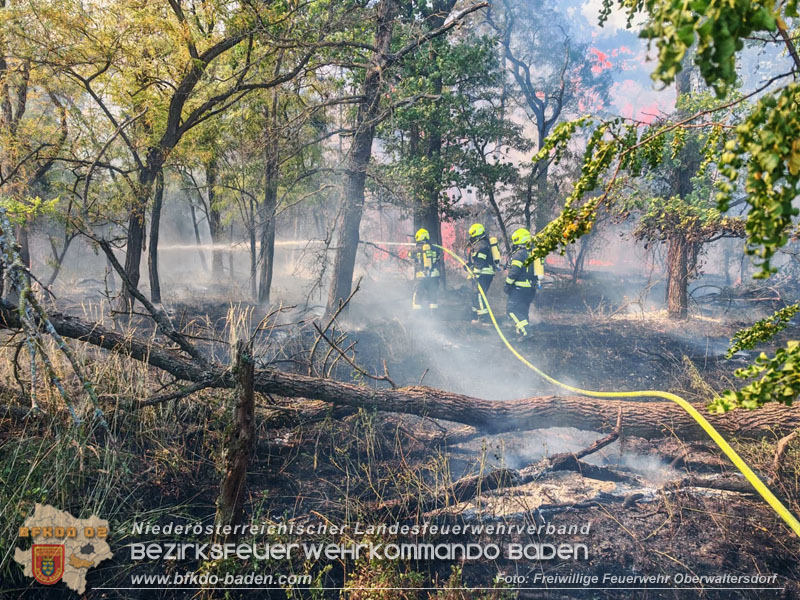 20260630_Flur- und Waldbrand zwischen Ebreichsdorf und Oberwaltersdorf durch f�nf Feuerwehren erfolgreich bek�mpft