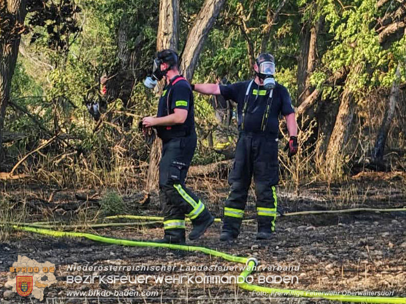20260630_Flur- und Waldbrand zwischen Ebreichsdorf und Oberwaltersdorf durch f�nf Feuerwehren erfolgreich bek�mpft