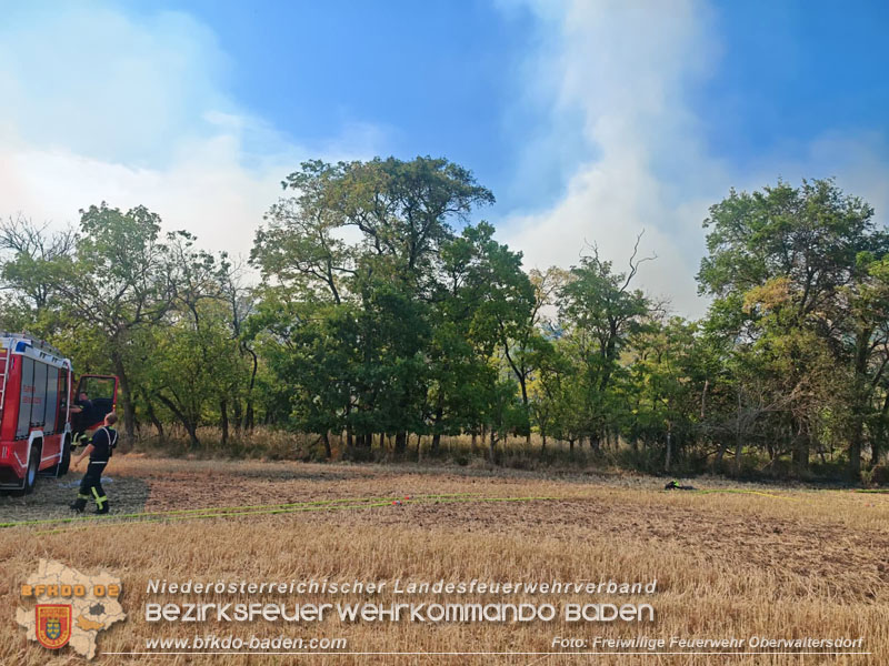 20260630_Flur- und Waldbrand zwischen Ebreichsdorf und Oberwaltersdorf durch f�nf Feuerwehren erfolgreich bek�mpft