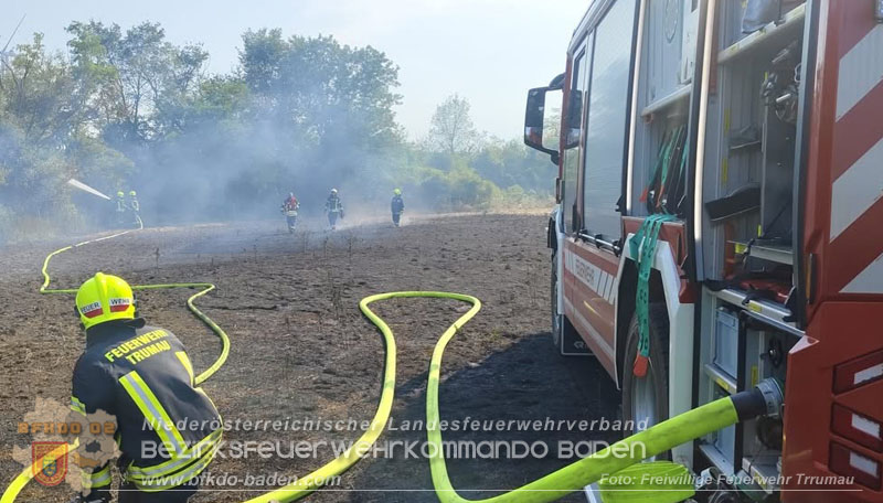 20260630_Flur- und Waldbrand zwischen Ebreichsdorf und Oberwaltersdorf durch f�nf Feuerwehren erfolgreich bek�mpft