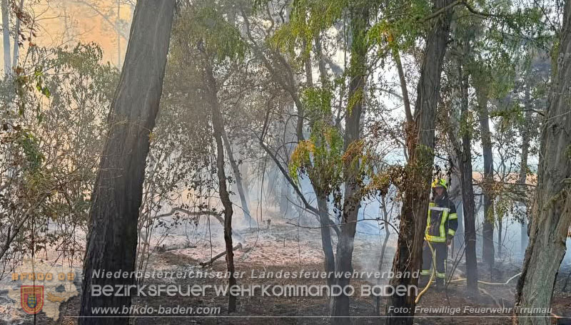 20260630_Flur- und Waldbrand zwischen Ebreichsdorf und Oberwaltersdorf durch f�nf Feuerwehren erfolgreich bek�mpft