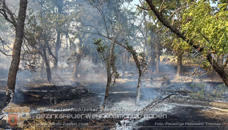 20260630_Flur- und Waldbrand zwischen Ebreichsdorf und Oberwaltersdorf durch f�nf Feuerwehren erfolgreich bek�mpft