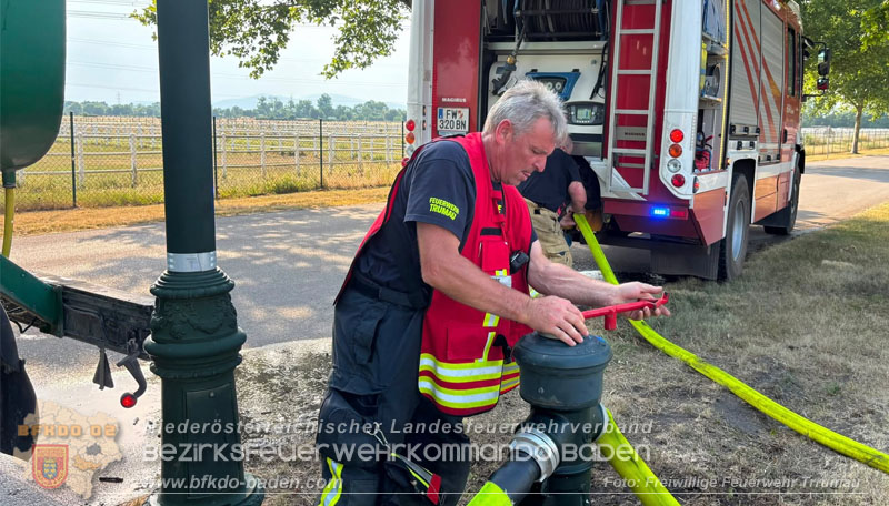 20260630_Flur- und Waldbrand zwischen Ebreichsdorf und Oberwaltersdorf durch f�nf Feuerwehren erfolgreich bek�mpft