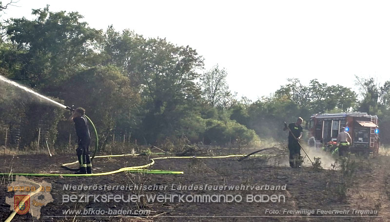 20260630_Flur- und Waldbrand zwischen Ebreichsdorf und Oberwaltersdorf durch f�nf Feuerwehren erfolgreich bek�mpft