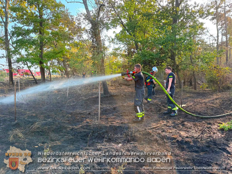 20260630_Flur- und Waldbrand zwischen Ebreichsdorf und Oberwaltersdorf durch f�nf Feuerwehren erfolgreich bek�mpft