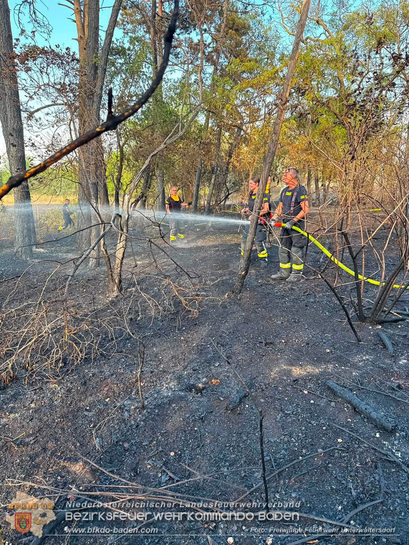 20260630_Flur- und Waldbrand zwischen Ebreichsdorf und Oberwaltersdorf durch f�nf Feuerwehren erfolgreich bek�mpft