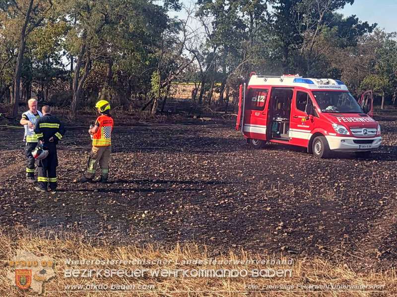 20260630_Flur- und Waldbrand zwischen Ebreichsdorf und Oberwaltersdorf durch f�nf Feuerwehren erfolgreich bek�mpft