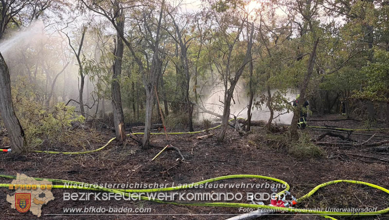 20260630_Flur- und Waldbrand zwischen Ebreichsdorf und Oberwaltersdorf durch f�nf Feuerwehren erfolgreich bek�mpft