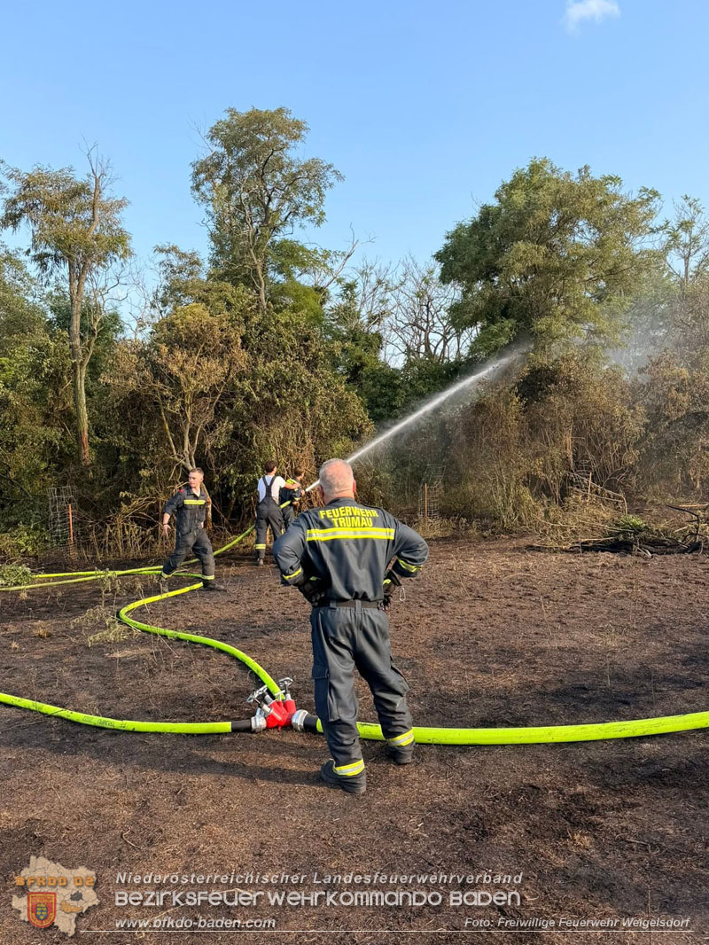 20260630_Flur- und Waldbrand zwischen Ebreichsdorf und Oberwaltersdorf durch f�nf Feuerwehren erfolgreich bek�mpft