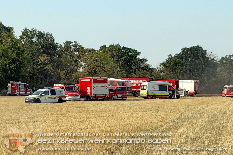 20260630_Flur- und Waldbrand zwischen Ebreichsdorf und Oberwaltersdorf durch f�nf Feuerwehren erfolgreich bek�mpft