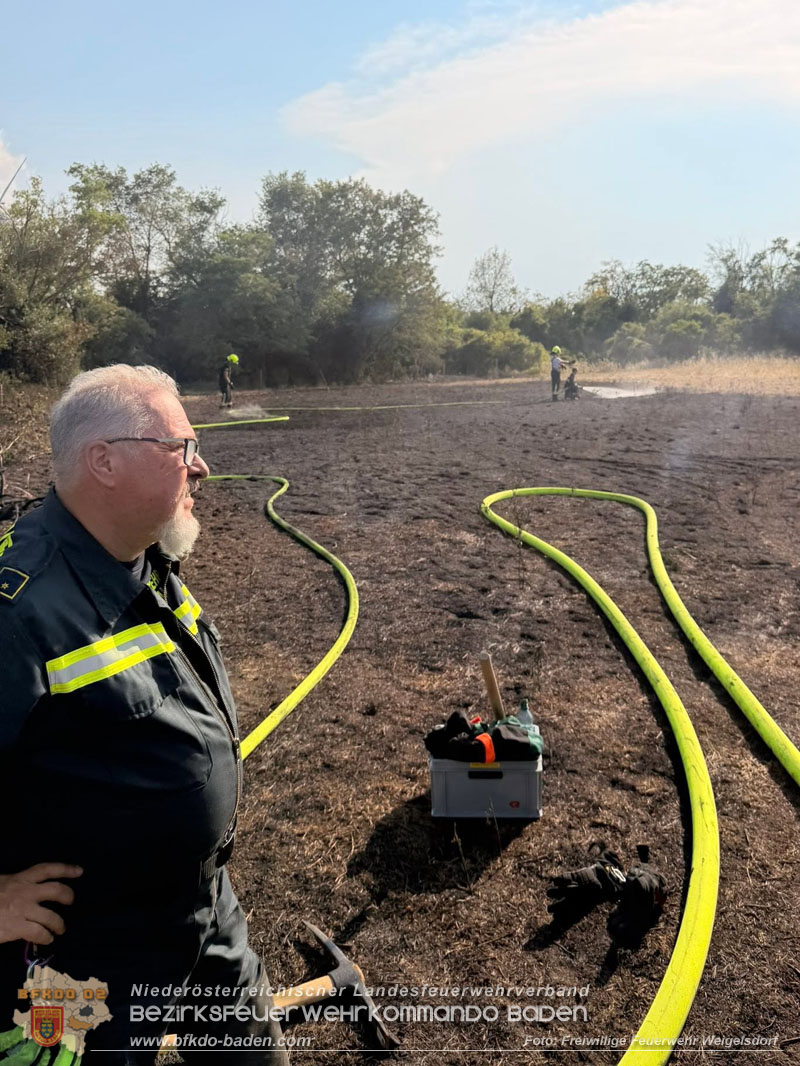 20260630_Flur- und Waldbrand zwischen Ebreichsdorf und Oberwaltersdorf durch f�nf Feuerwehren erfolgreich bek�mpft  20260630_Flur- und Waldbrand zwischen Ebreichsdorf und Oberwaltersdorf durch f�nf Feuerwehren erfolgreich bek�mpft