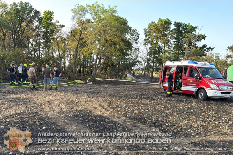 20260630_Flur- und Waldbrand zwischen Ebreichsdorf und Oberwaltersdorf durch f�nf Feuerwehren erfolgreich bek�mpft  20260630_Flur- und Waldbrand zwischen Ebreichsdorf und Oberwaltersdorf durch f�nf Feuerwehren erfolgreich bek�mpft