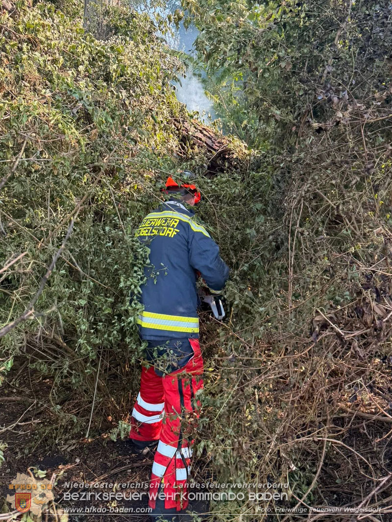 20260630_Flur- und Waldbrand zwischen Ebreichsdorf und Oberwaltersdorf durch f�nf Feuerwehren erfolgreich bek�mpft  20260630_Flur- und Waldbrand zwischen Ebreichsdorf und Oberwaltersdorf durch f�nf Feuerwehren erfolgreich bek�mpft
