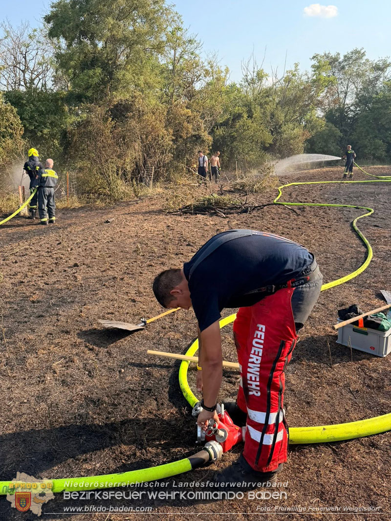 20260630_Flur- und Waldbrand zwischen Ebreichsdorf und Oberwaltersdorf durch f�nf Feuerwehren erfolgreich bek�mpft  20260630_Flur- und Waldbrand zwischen Ebreichsdorf und Oberwaltersdorf durch f�nf Feuerwehren erfolgreich bek�mpft