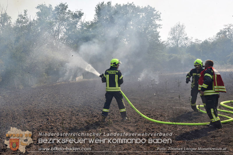 20260630_Flur- und Waldbrand zwischen Ebreichsdorf und Oberwaltersdorf durch f�nf Feuerwehren erfolgreich bek�mpft  20260630_Flur- und Waldbrand zwischen Ebreichsdorf und Oberwaltersdorf durch f�nf Feuerwehren erfolgreich bek�mpft